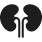 Kidney problems