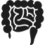 Changes in bowel or bladder habits