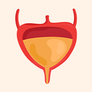 Urine protein